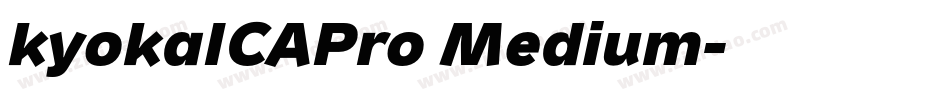 kyokaICAPro Medium字体转换